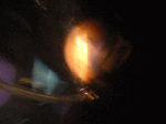 nightd1-3.gif