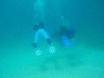 kasiwagw7.gif