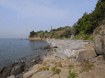 aosima6.gif