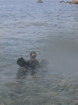aosimaumi5.gif