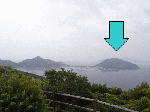 20096111.gif
