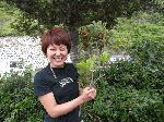 20096114.gif