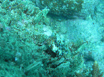 200961113.gif