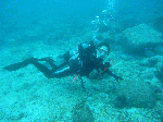 200961114.gif