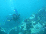 200961117.gif