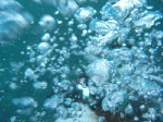 tagemasima006.gif