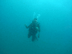 20096211.gif