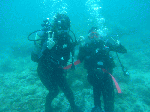 20096213.gif