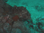 20096214.gif