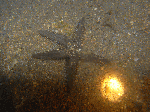nito002.gif