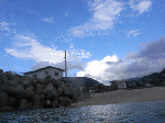 sa-chi112.gif