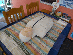 efr1234567.gif