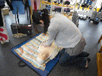 efr1-2.gif