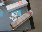 efr1-3.gif