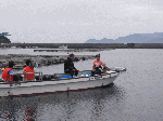 tanakaR11.gif