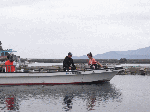 tanakaR12.gif