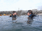 futamiow1.gif