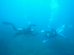 8f50d145.gif