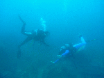 a355d25a.gif