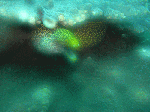 36a1b39c.gif