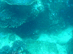 99415db8.gif