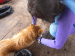 takeke2.gif