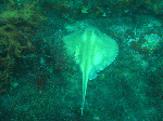 takeke3.gif