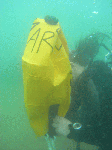 sat1-3.gif