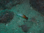 d50ce54b.gif