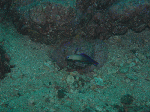 e3e36937.gif