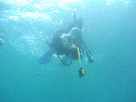 353a267e.gif