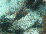 92a6d462.gif