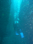 tatutatu8.gif