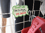 nehuda.gif
