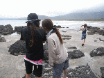 hanabi2-3.gif