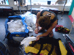 image3.gif