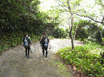 tatugasako1-1.gif