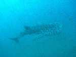 7f7441ec.gif