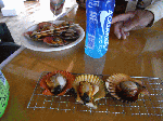 yurayura1-9.gif