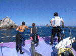 2009okinosima1-3.gif