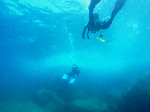 2009okinosima1-4.gif