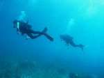 2009okinosima1-6.gif