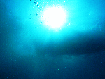 2009okinosima1-7.gif