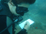 TAKEGASIMA-1-5.gif