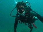 wa-kasiwa1-9.gif