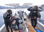 wa-kasiwa1-9-1.gif