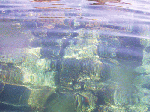 2009331-1.gif