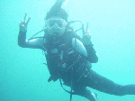 2009331-2.gif