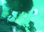 2009331-5.gif