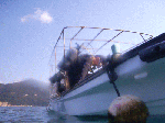 200911-2.gif